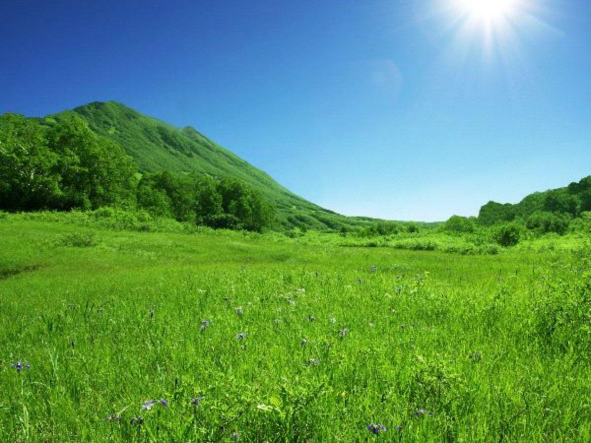 Pradera - Clima, flora, fauna y paisaje