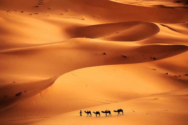 Tipos de desiertos - Desiertos cálidos