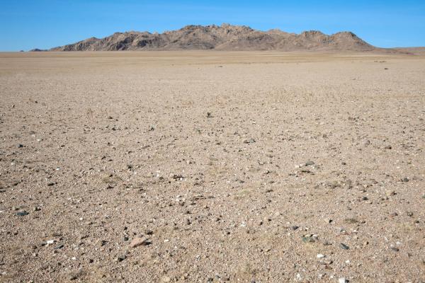 Tipos de desiertos - Desiertos fríos