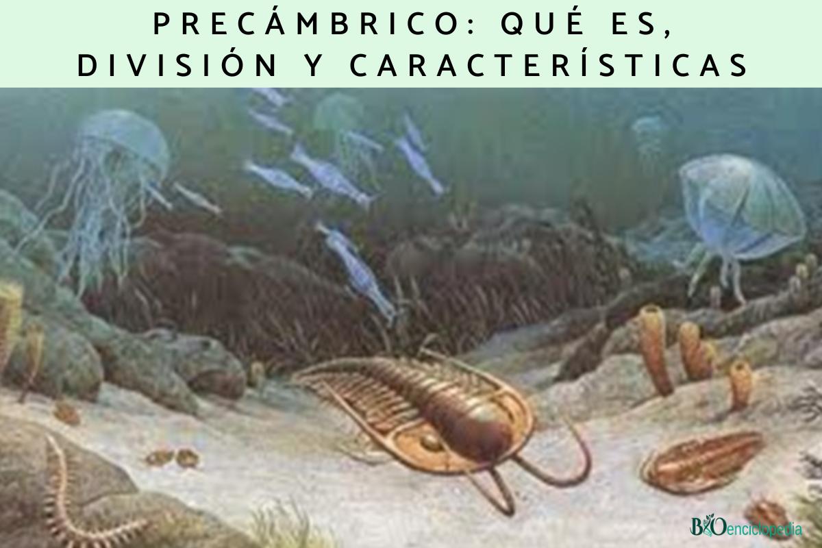 tierra precámbrica